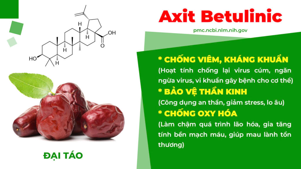 Thành phần hoá học bổ phế xanh 
