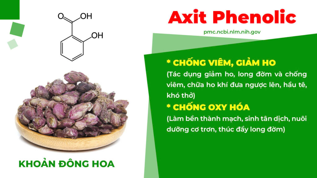 Thành phần hoá học bổ phế xanh 