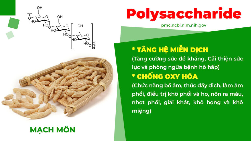 Thành phần hoá học bổ phế xanh 