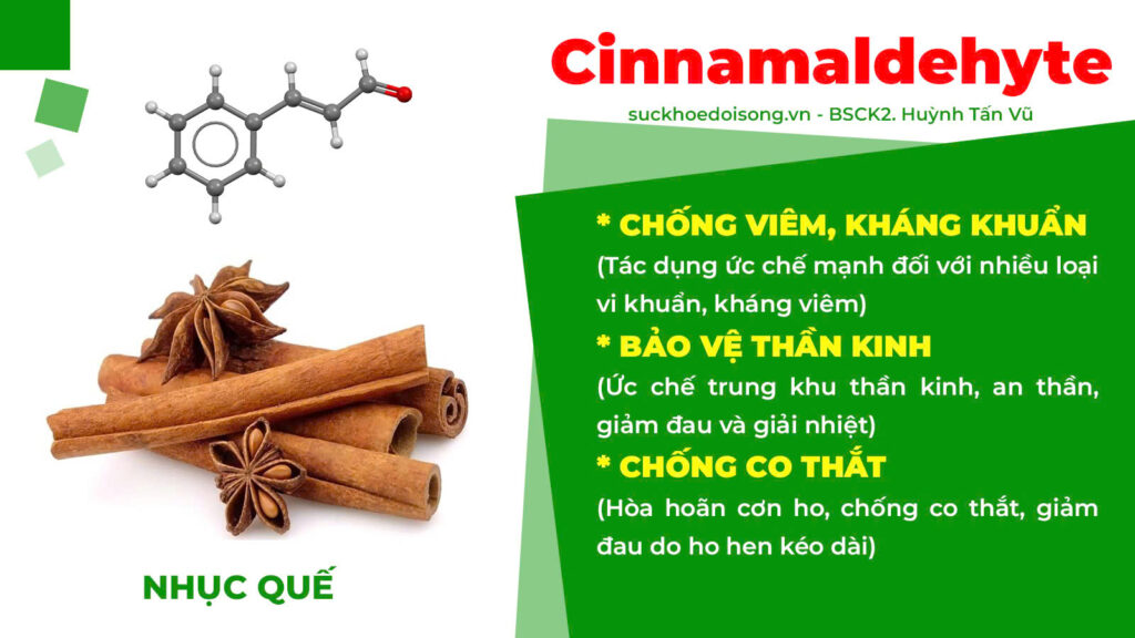 Thành phần hoá học bổ phế xanh 