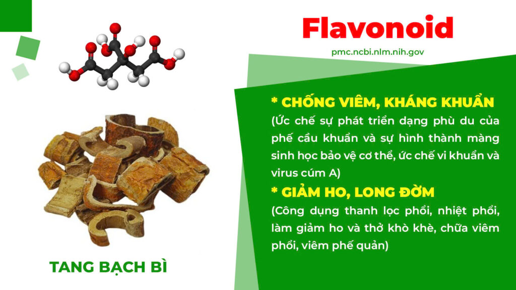 Thành phần hoá học bổ phế xanh 