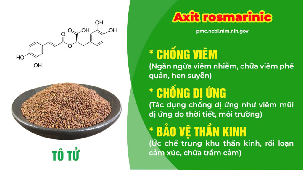 Thành phần hoá học hen suyễn 