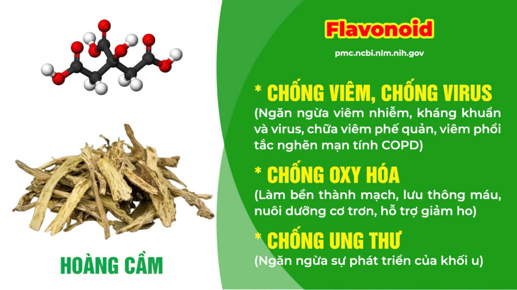 Thành phần hoá học hen suyễn 