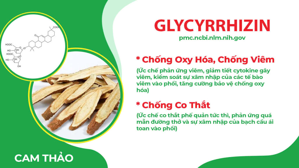 Thành phần hoá học phế quản