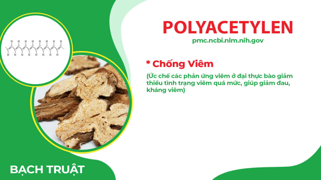 Thành phần hoá học phế quản