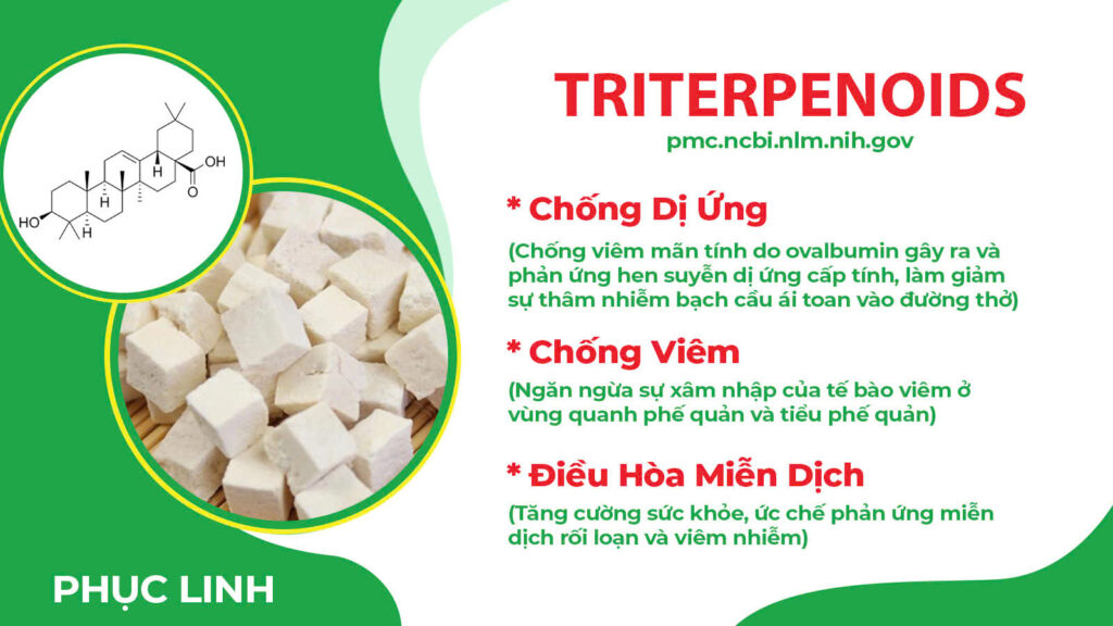 Thành phần hoá học phế quản