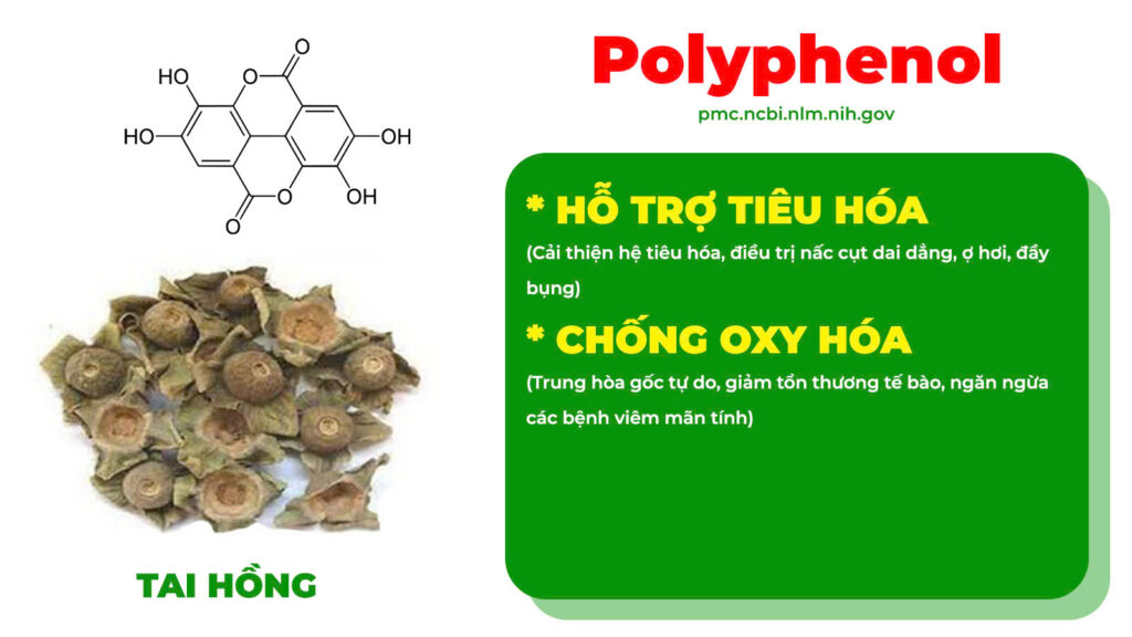 Thành phần hoá học trớ sữa
