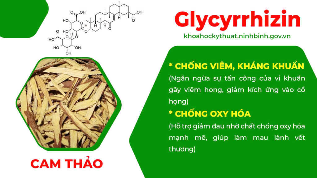 Thành phần hoá học thuốc hen suyễn