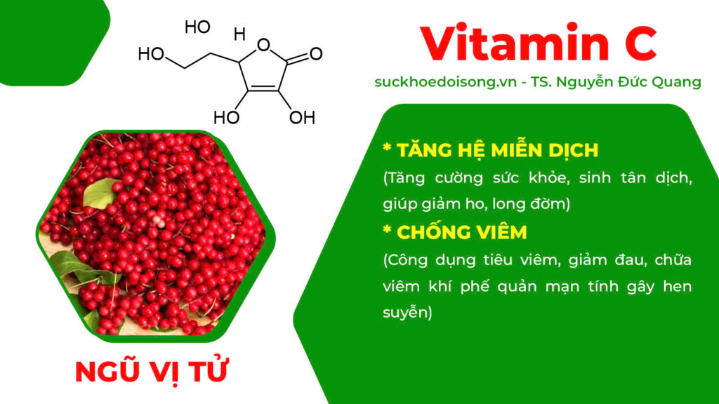 Thành phần hoá học thuốc hen suyễn