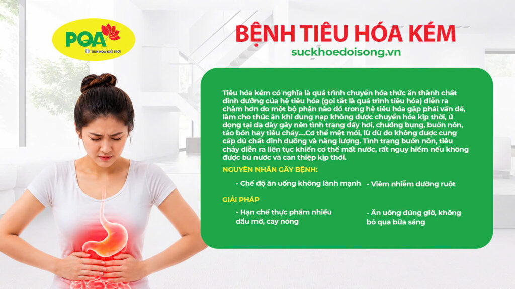 Nguyên nhân và giải pháp cho bệnh tiêu hoá kém