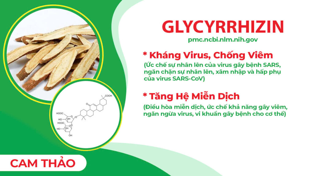 Thành phần hoá học Hoàng Kỳ
