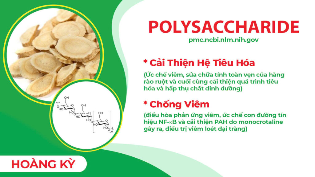 Thành phần hoá học Hoàng Kỳ
