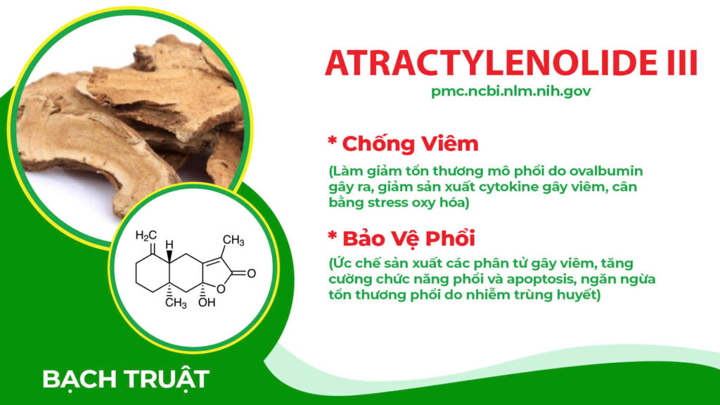 Thành phần hóa học Thuốc hen trẻ em