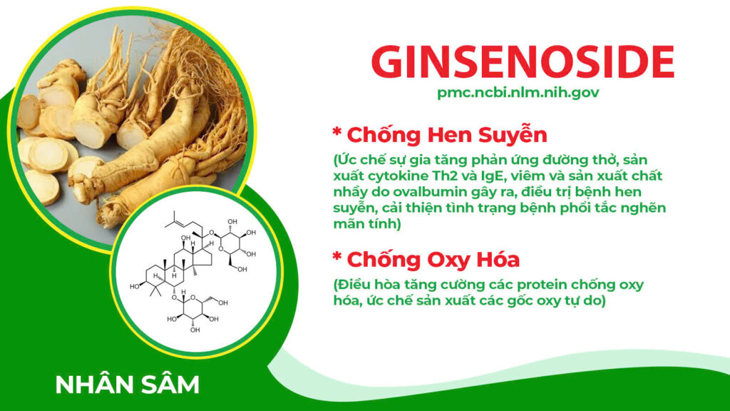 Thành phần hóa học Thuốc hen trẻ em