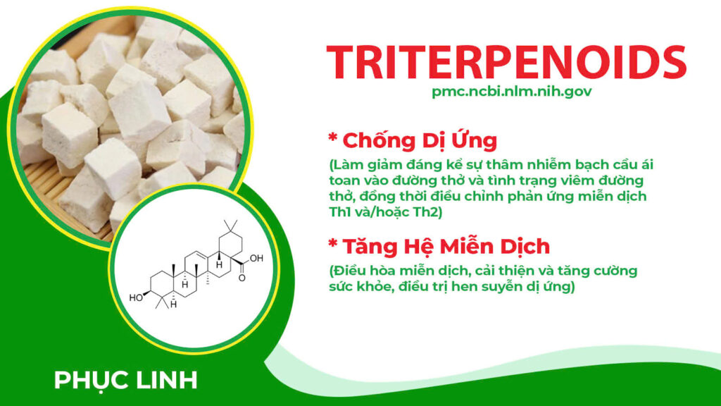 Thành phần hóa học Thuốc hen trẻ em