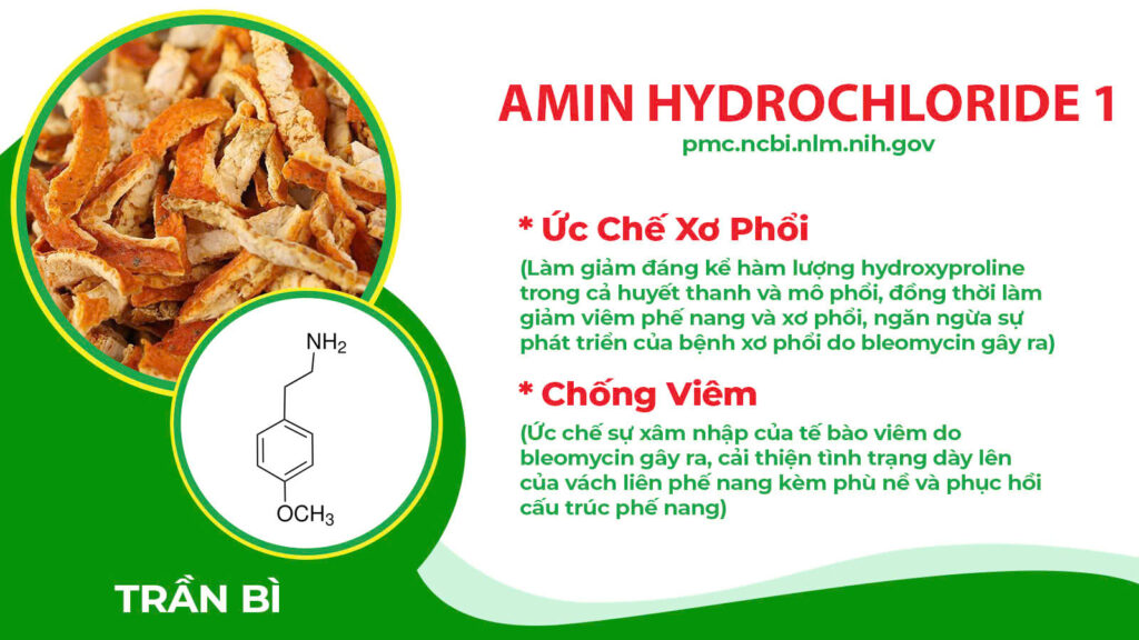 Thành phần hóa học Thuốc hen trẻ em