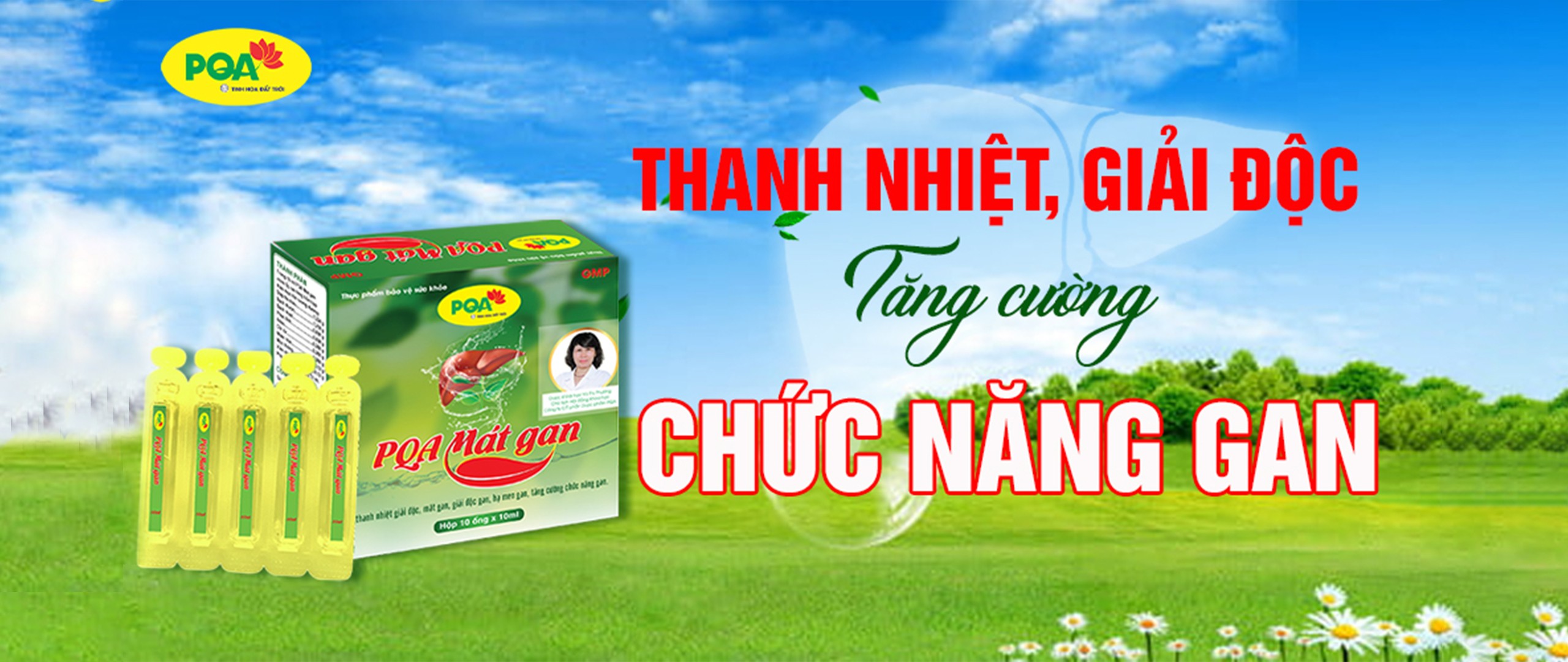 Pqa mát gan