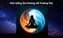 Cân bằng âm dương