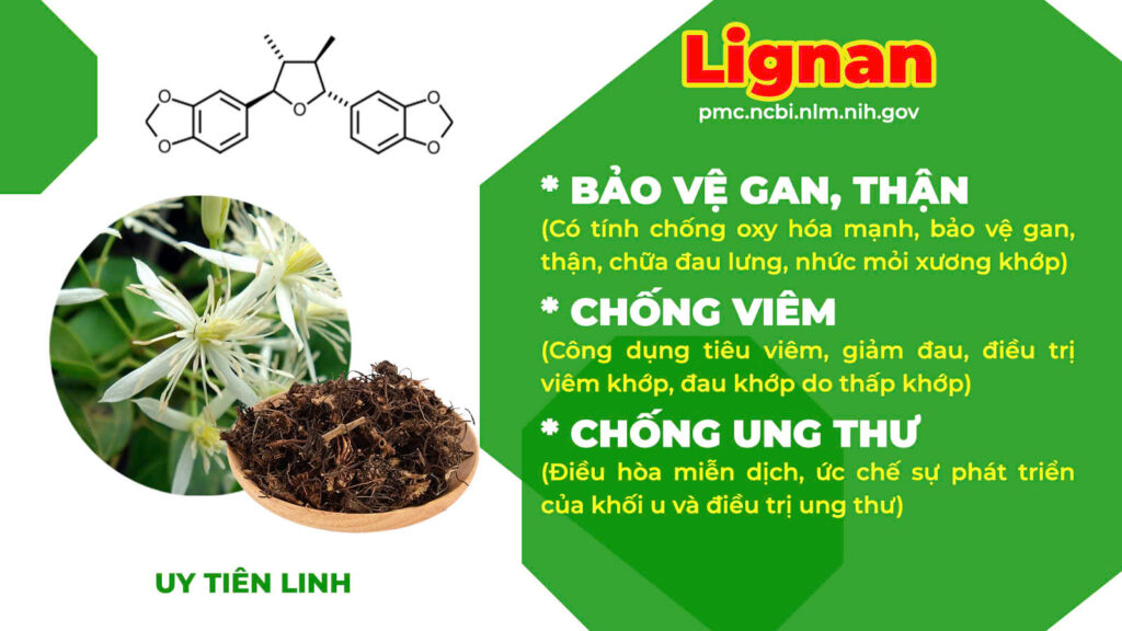 Thành phần hoá học Phòng phong 