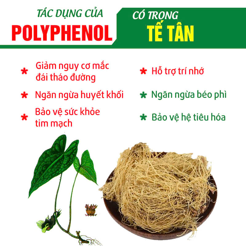 Tế Tân