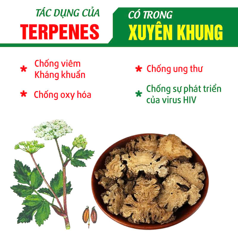 Xuyên khung