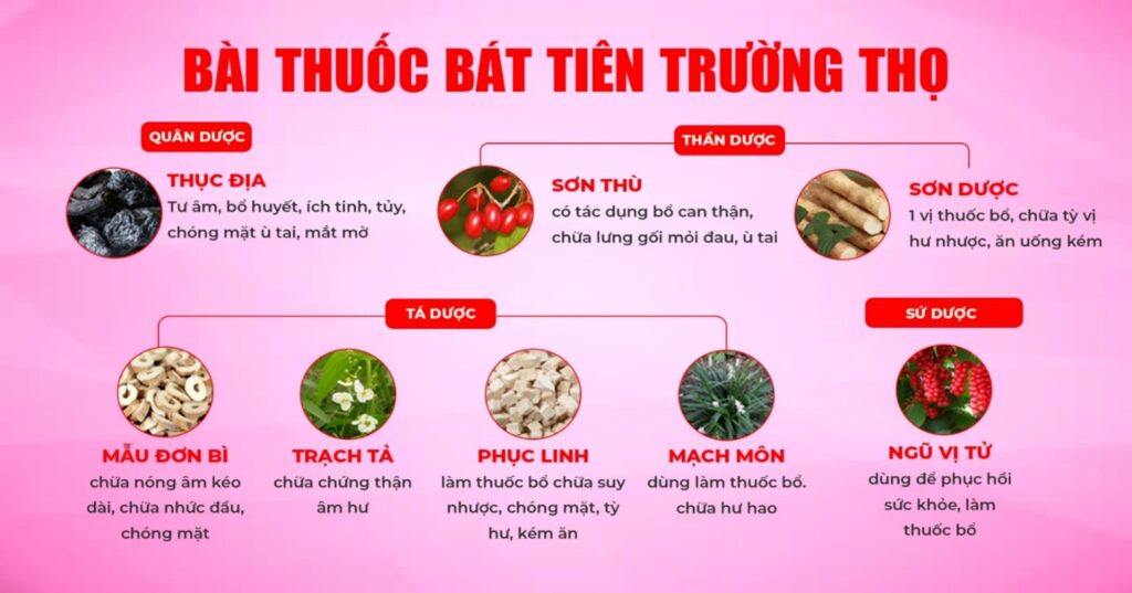 Bài thuốc gia truyền bát tiên trường thọ