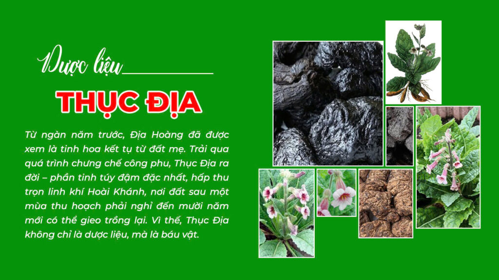 Câu chuyện bát tiên trường thọ