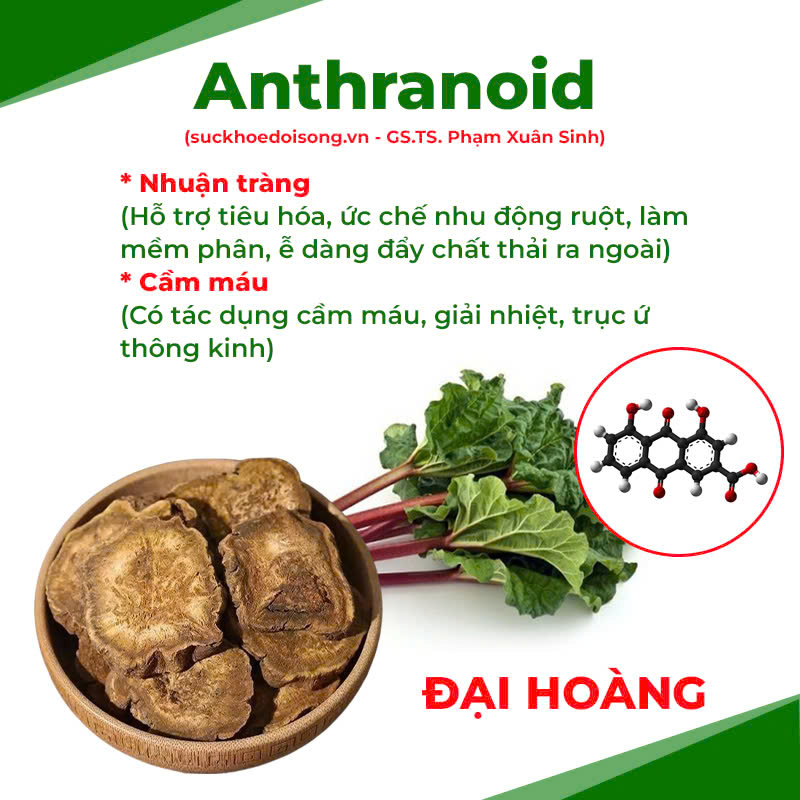 Thành phần hoá học đại hoàng 