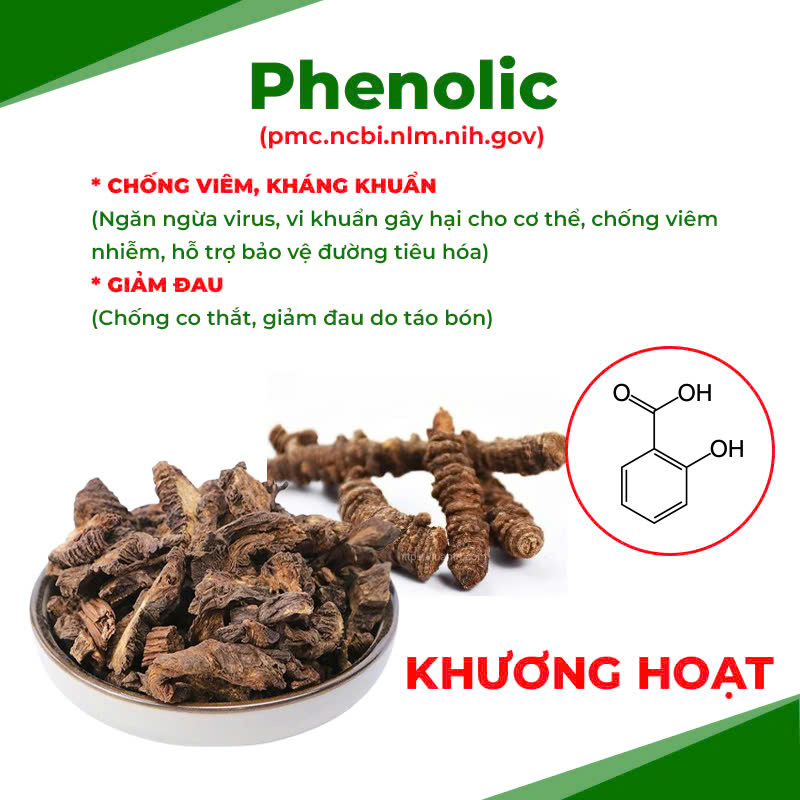 Thành phần hoá học đại hoàng 