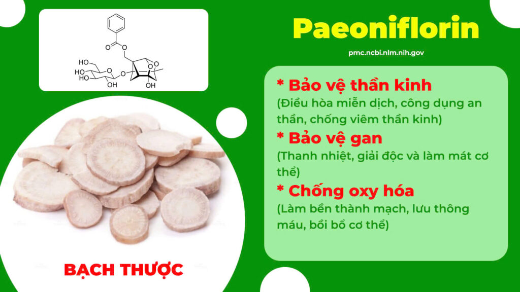 Thành phần hoá học mát gan siro
