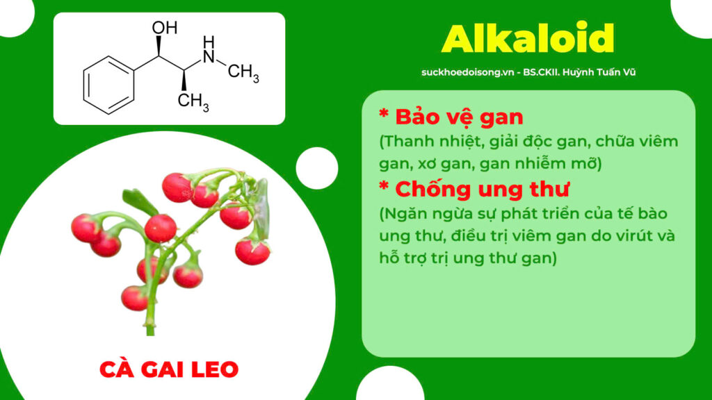 Thành phần hoá học mát gan siro