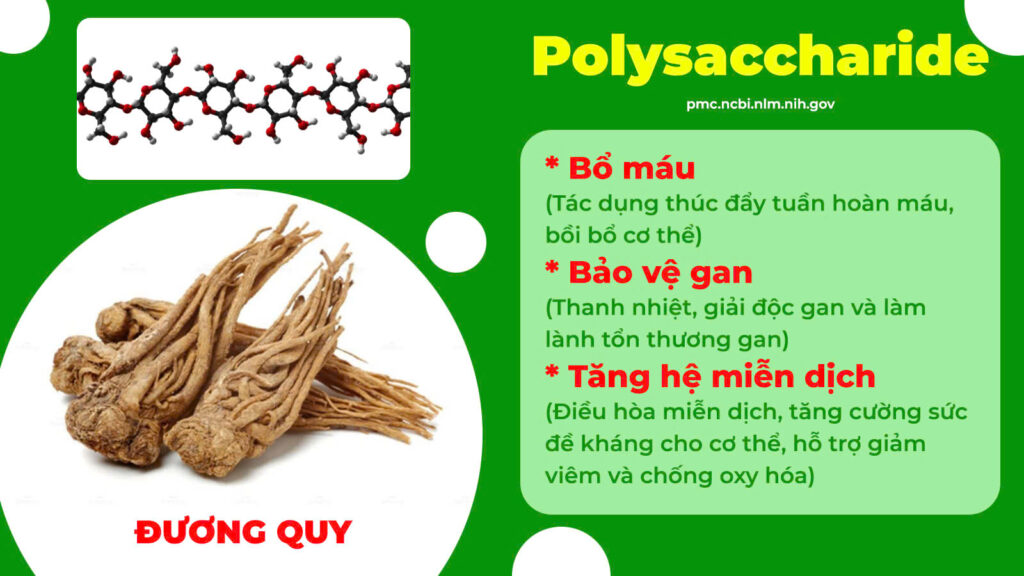 Thành phần hoá học mát gan siro