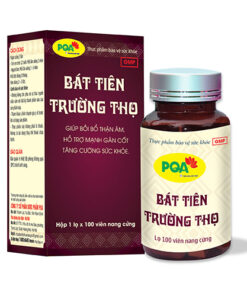 Bát tiên trường thọ 100 viên