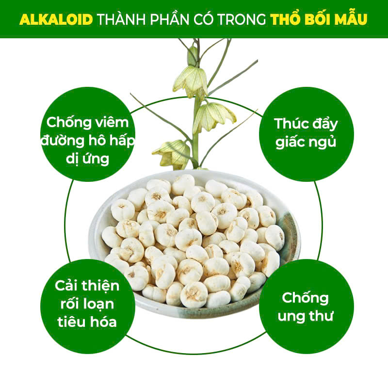 PQA bổ phế