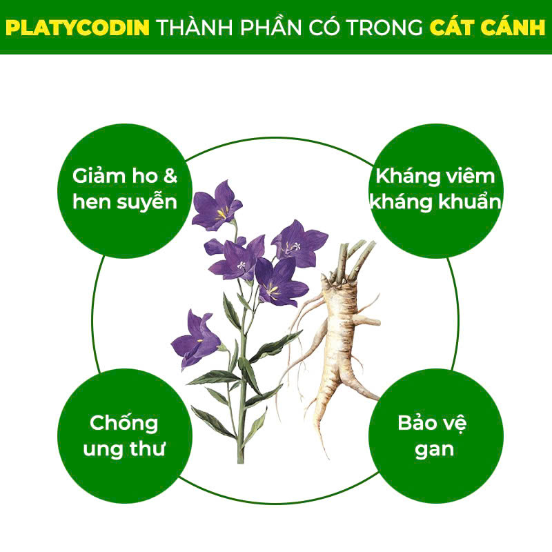 PQA bổ phế