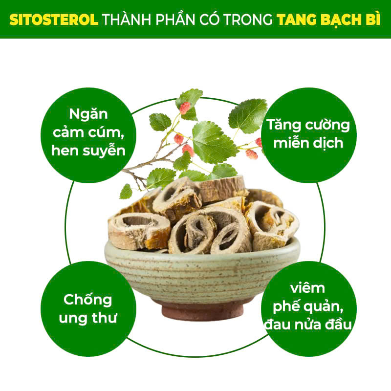 PQA bổ phế