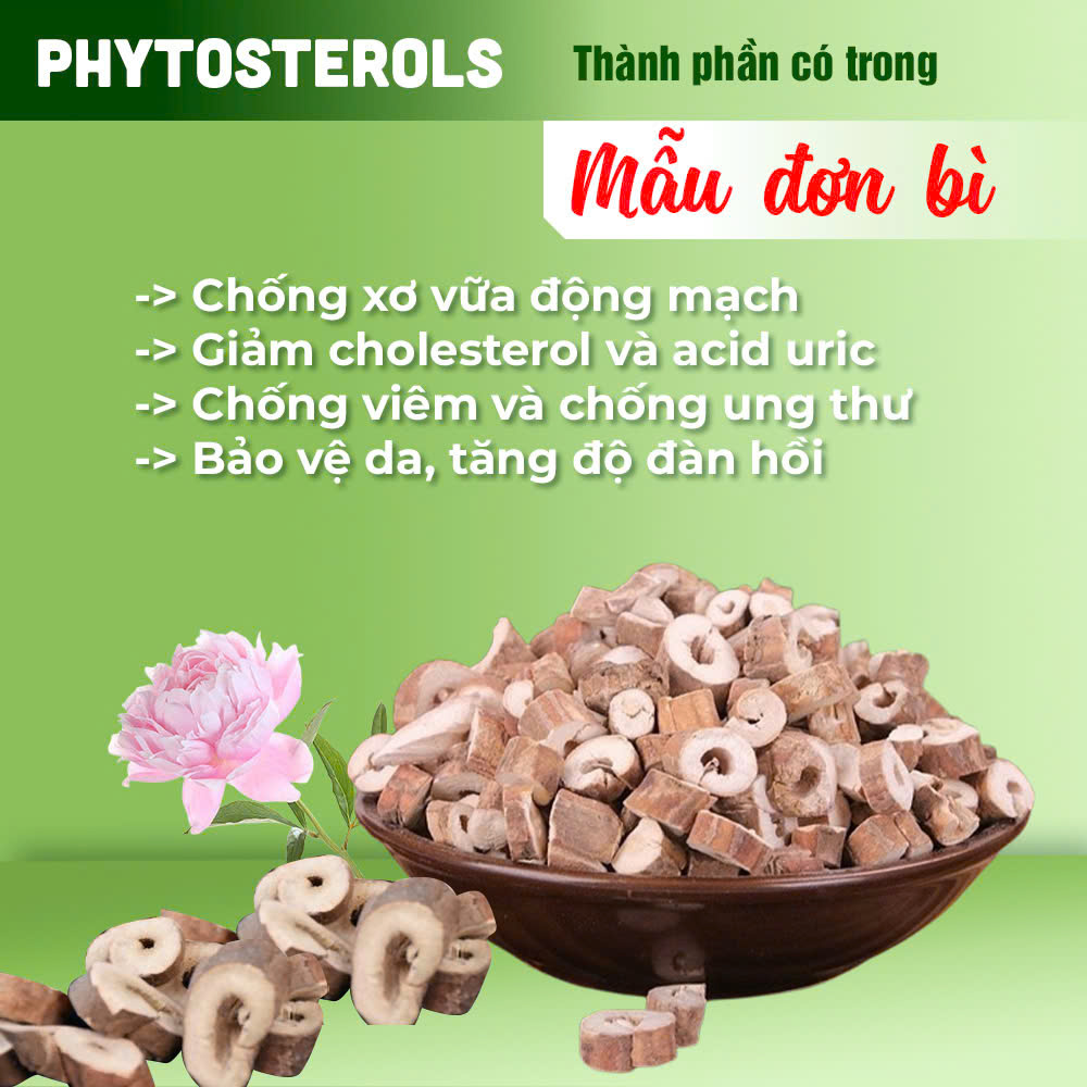 Thành phần hóa học PQA Bát tiên trường thọ