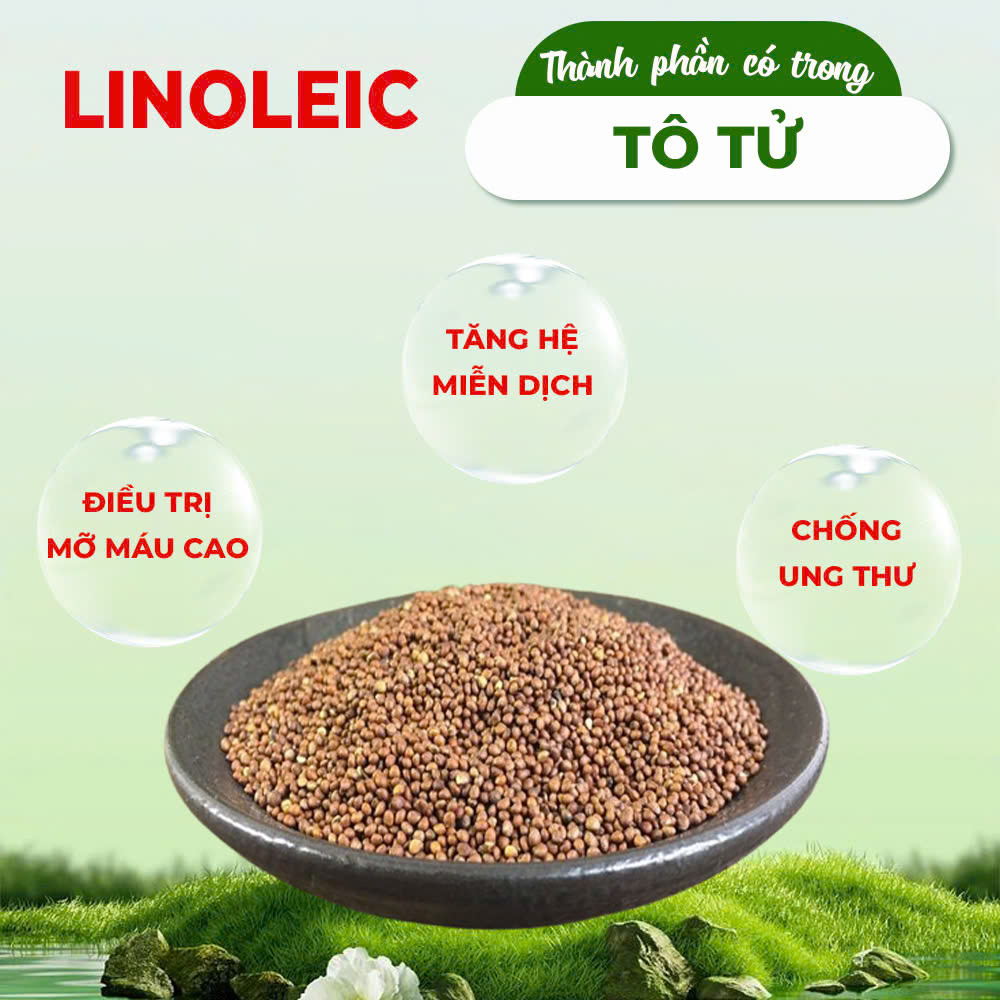 Thành phần hóa học pqa hen suyễn