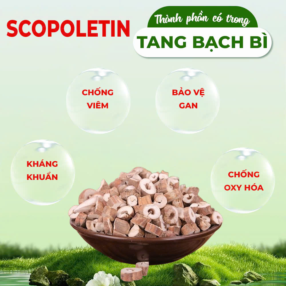 Thành phần hóa học pqa hen suyễn