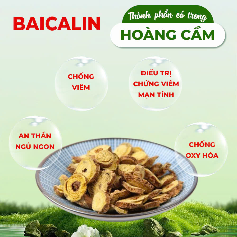 Thành phần hóa học pqa hen suyễn