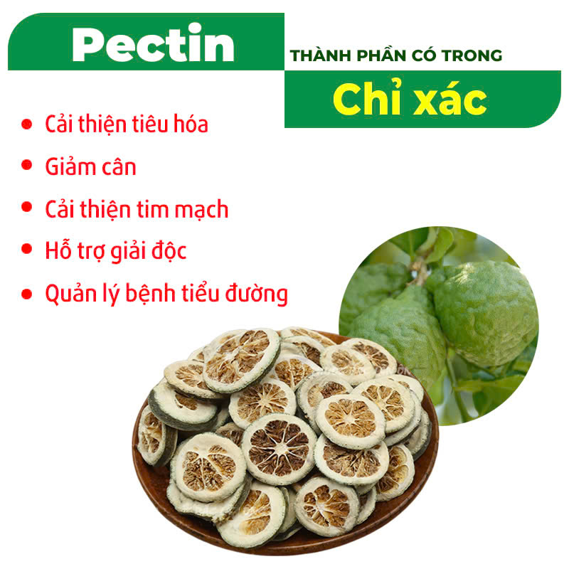 Thành phần hóa học PQA phòng phong
