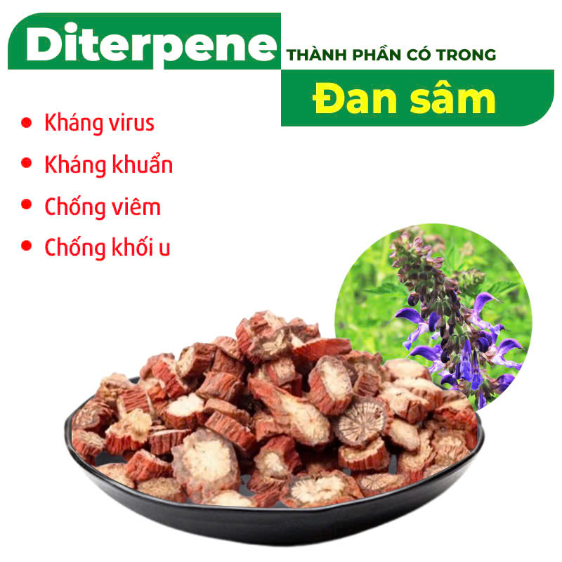Thành phần hóa học PQA phòng phong