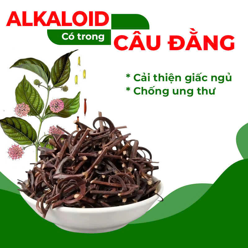 Thành phần hóa học trong pqa thư can dưỡng huyết
