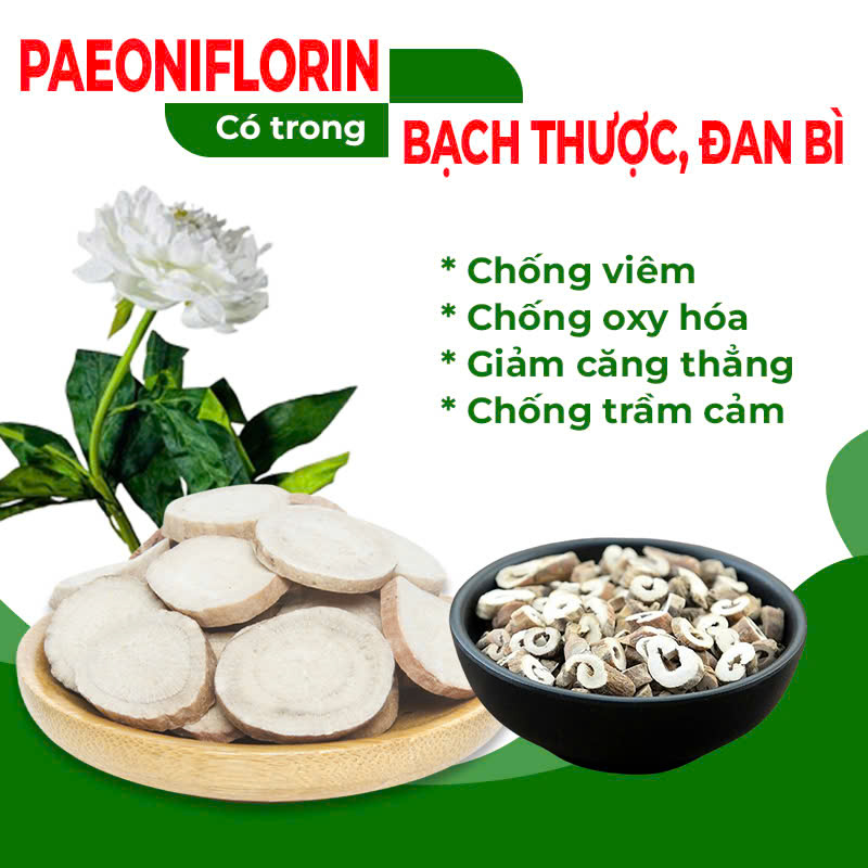 Thành phần hóa học trong pqa thư can dưỡng huyết