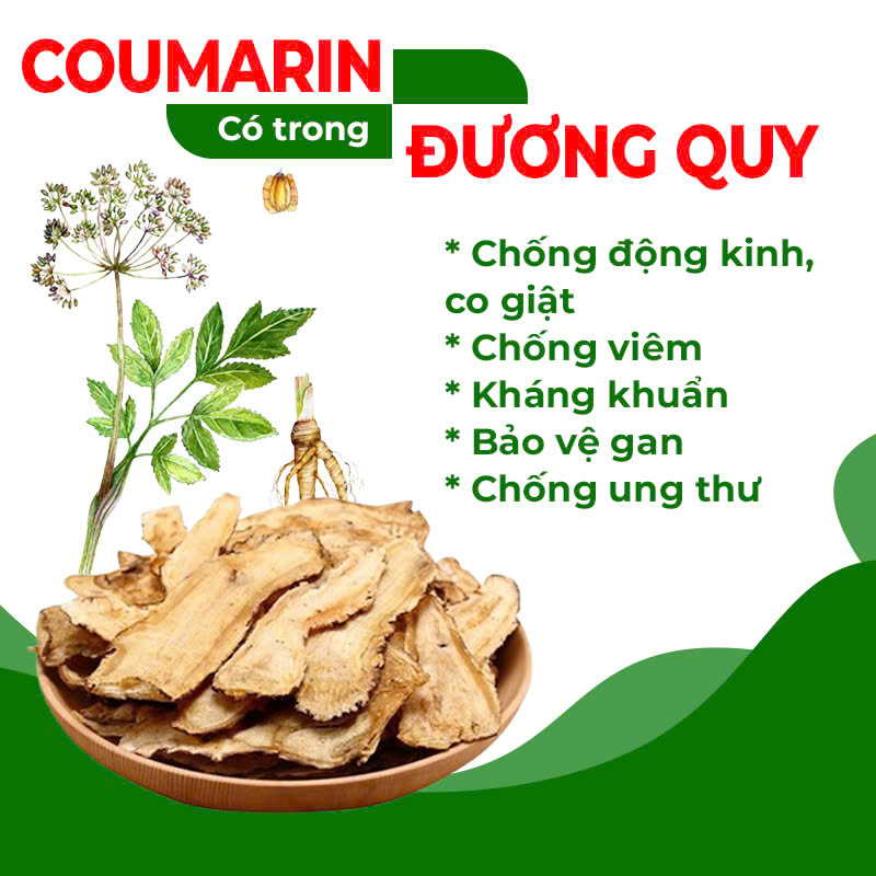 Thành phần hóa học trong pqa thư can dưỡng huyết