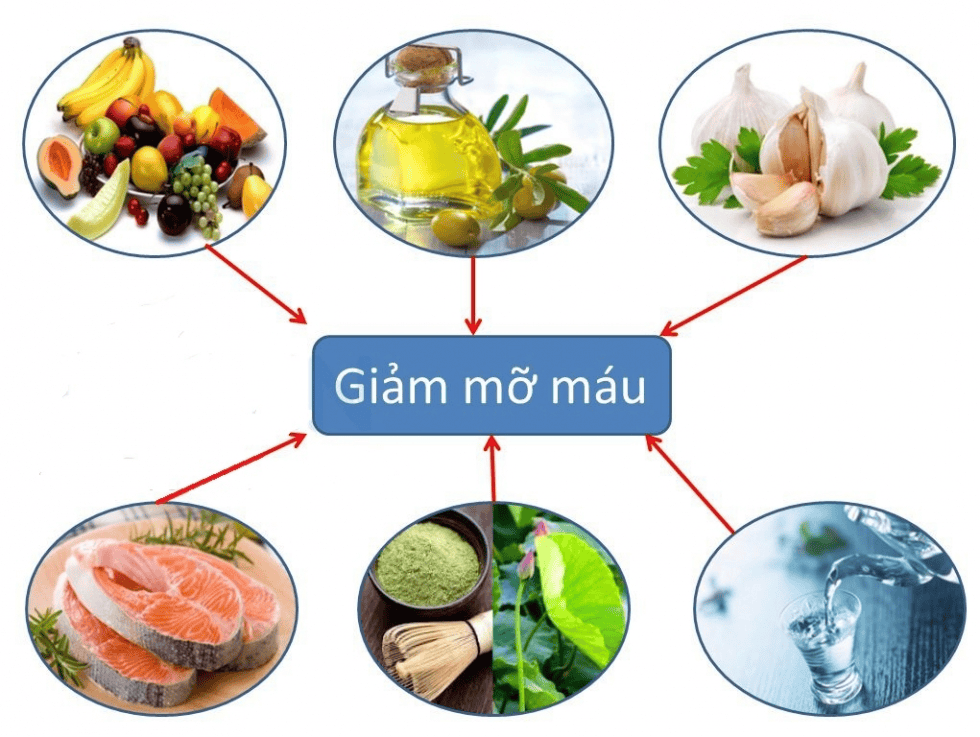 thực phẩm giảm mỡ máu