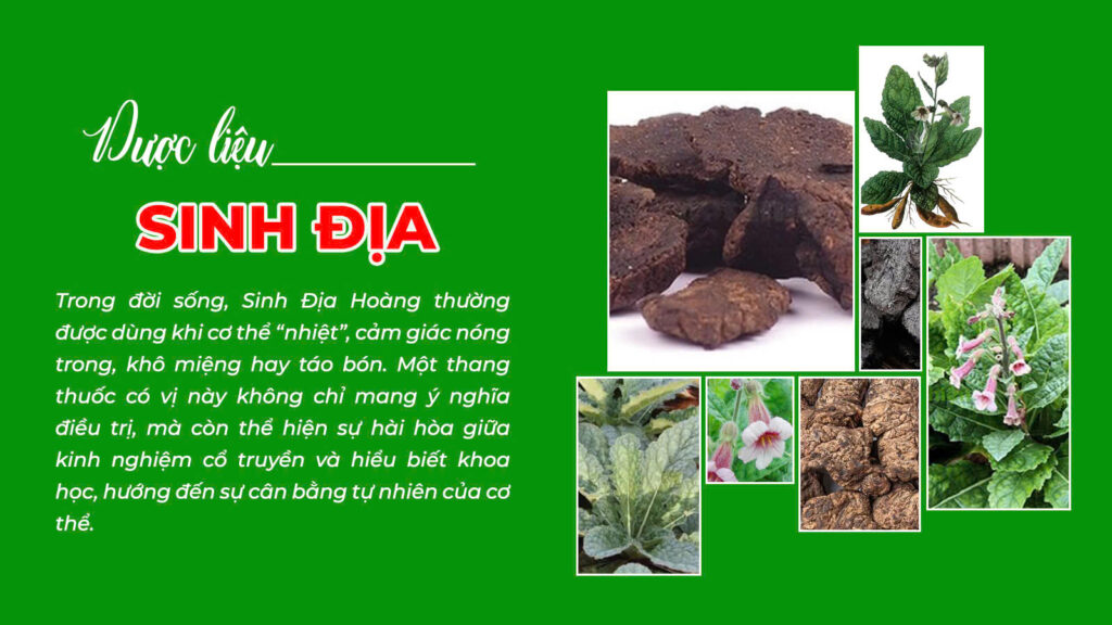 Câu chuyện sản phẩm nhuận trường