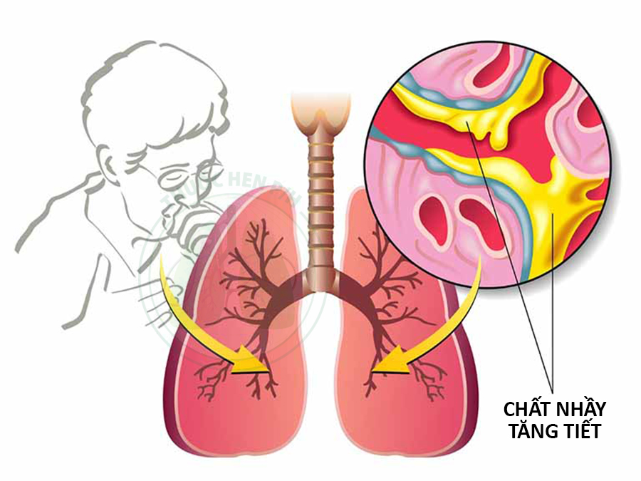 Dược phẩm PQA