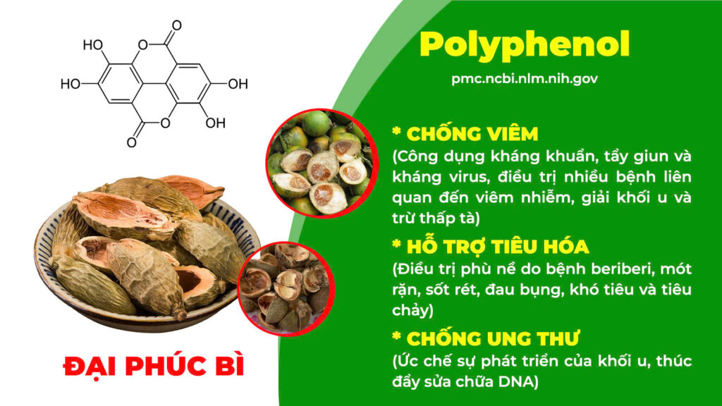 Thành phần hoá học nhuận trường 