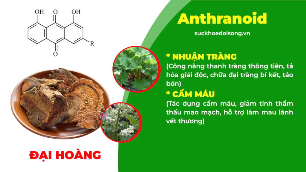 Thành phần hoá học nhuận trường